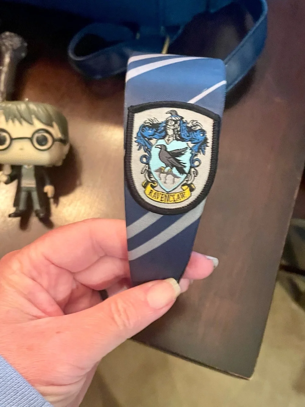 Wizarding World Of Harry Potter block hat